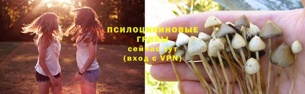 эйфоретик Воткинск