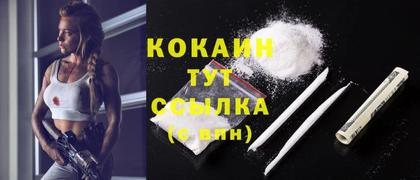 винт Няндома