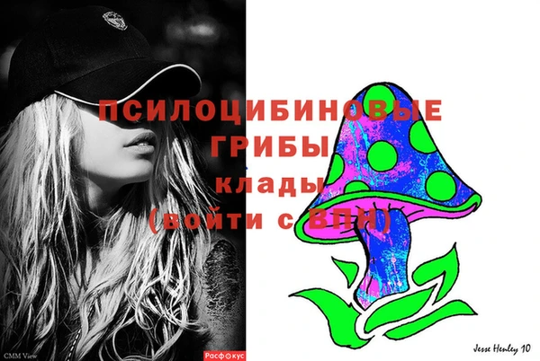 мдпв Осинники