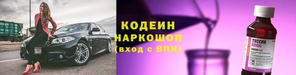 винт Няндома