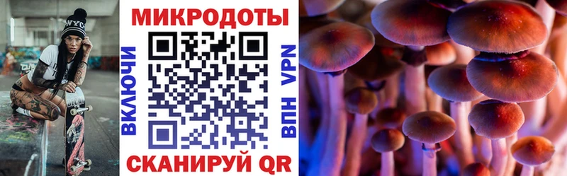 Псилоцибиновые грибы ЛСД  купить наркоту  Наволоки 